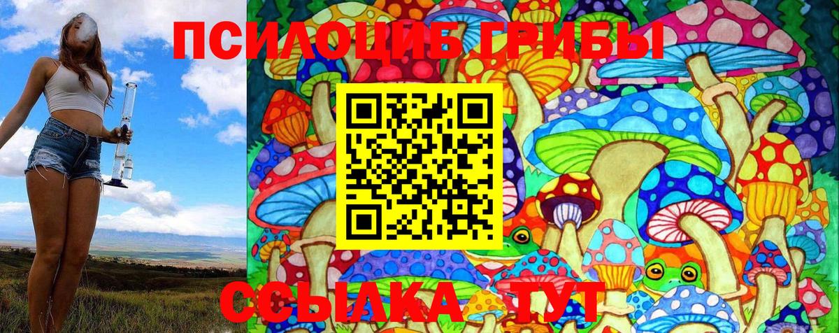 Галлюциногенные грибы MAGIC MUSHROOMS Россия